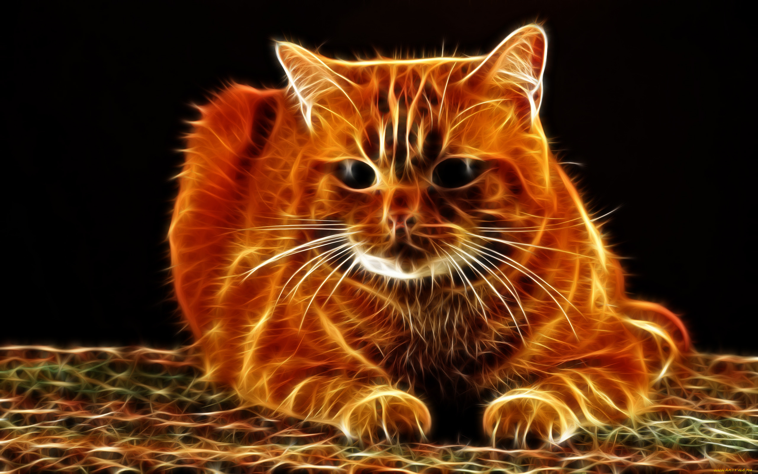 3, , animals, , , , 